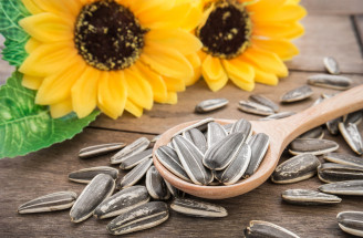 Prečo jesť slnečnicové semená? Takto ovplyvnia aj vaše zdravie!