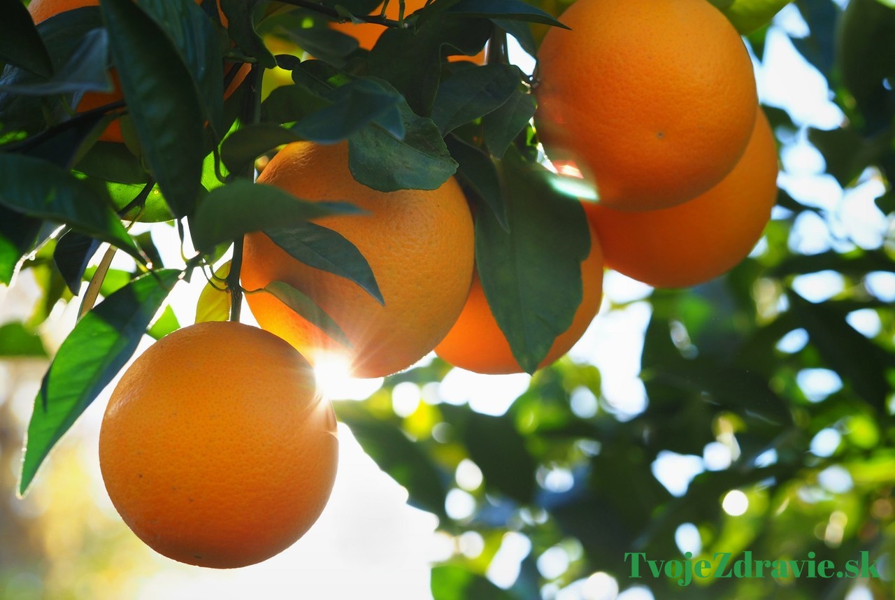citrónovník pomarančový