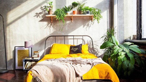 TOP izbové rastliny do spálne: Tieto vám zabezpečia lepší spánok!