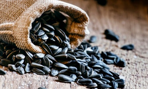 Slnečnicové semienka - aké sú ich benefity pre naše zdravie?